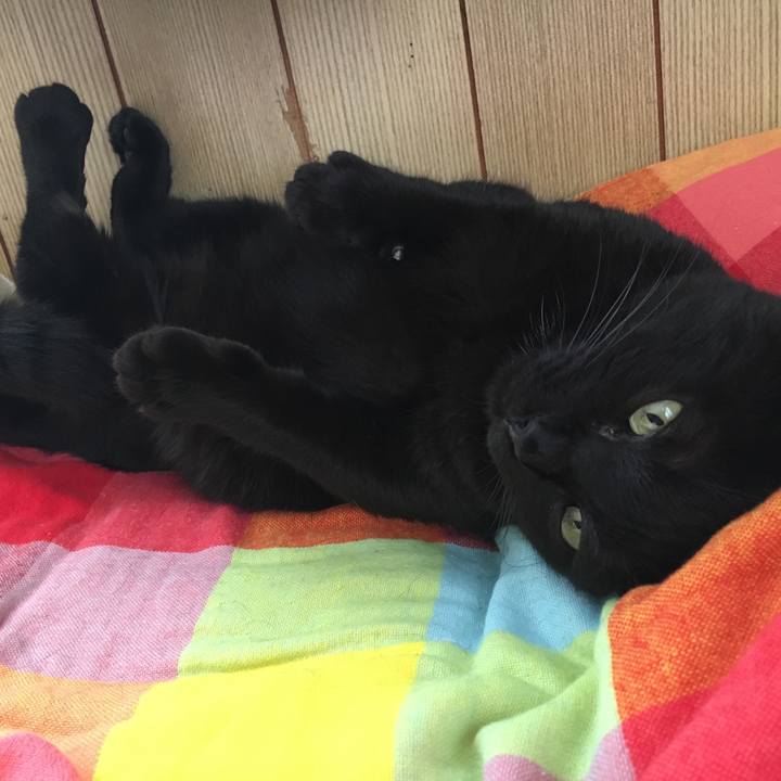 60c5b099 2ad4 42b4 be04 5d7f3d8dd56e