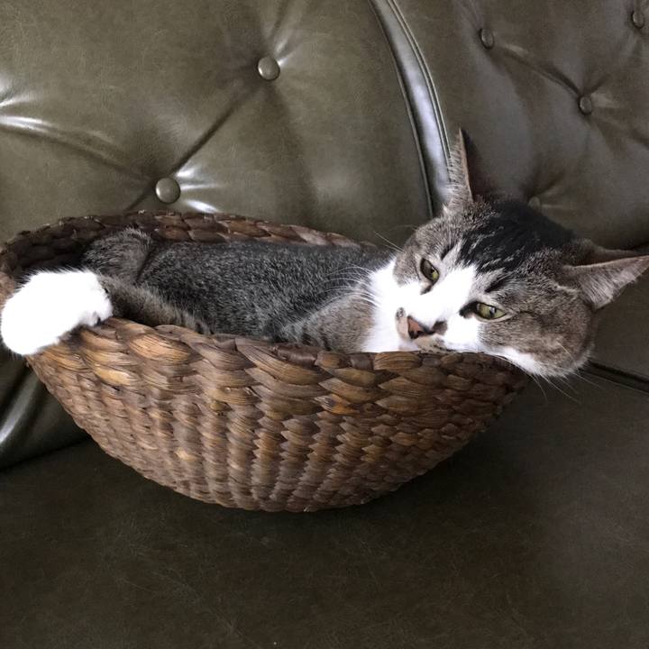 60c5cfbd fa19 4e1a 85d9 5f5c0616bf0b