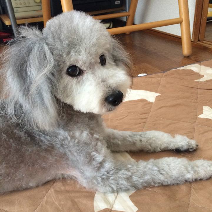 60c6648a 198e 4428 a819 476e25aa4670