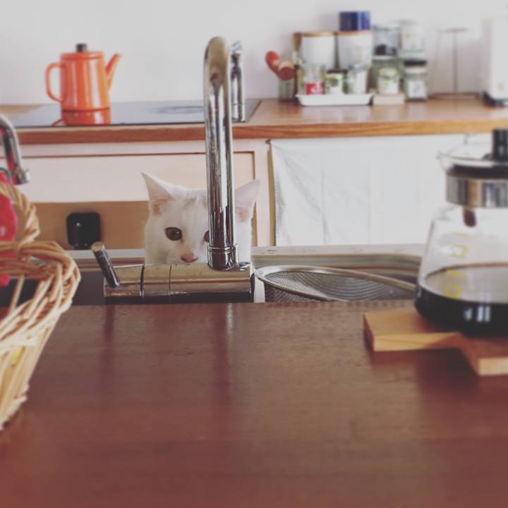 60c665ca 2503 44ed b099 e215970d280e