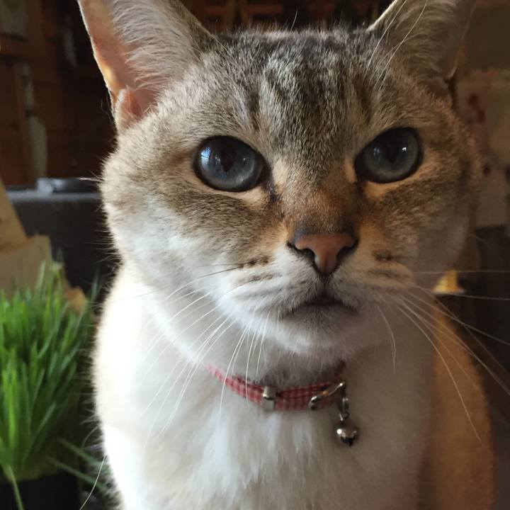 60c67b13 47b7 4730 8e65 9db81ae0a3f7