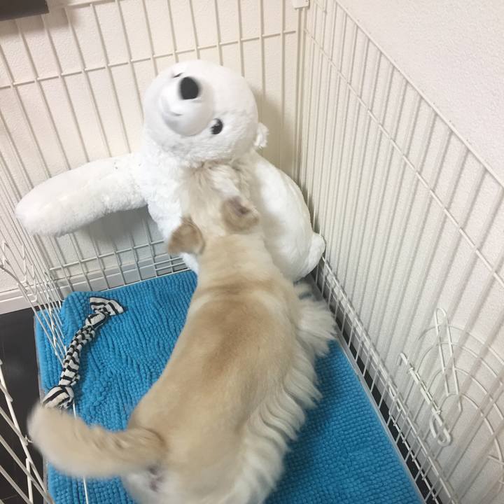 60c7a720 2d29 4b40 af19 cd0897cb2a0c