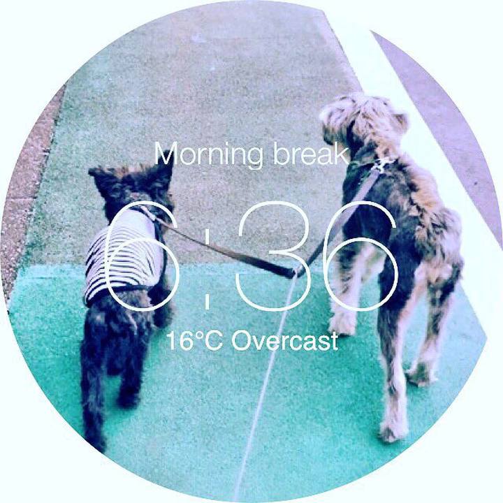 60c7c0f0 1929 4317 a941 0badc9f88f9c