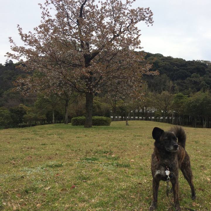 60c7f2ca adb3 426a 971b 2a42403e6b23