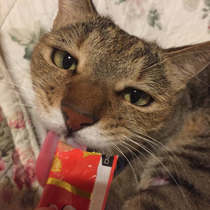 60c85436 6f2d 4af4 a472 f0fa3d6b707c