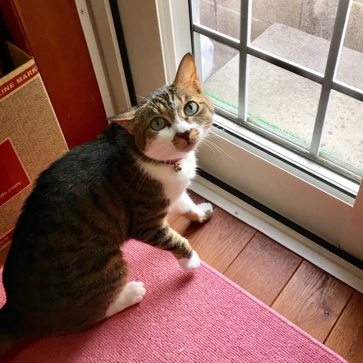 60c8bf71 4a16 4b03 a6ab 8e42fb14ff6c