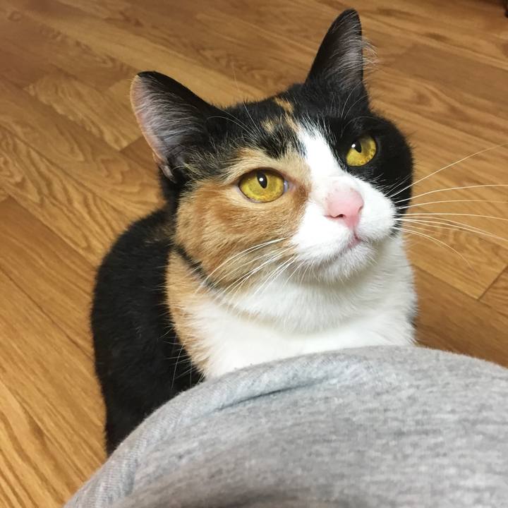 60c8c7ad 89e3 4660 b7c3 643248518c48