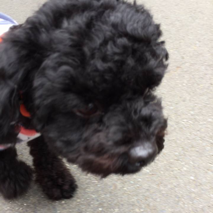 60c8dbaa 8f77 4091 b123 33f53260c723