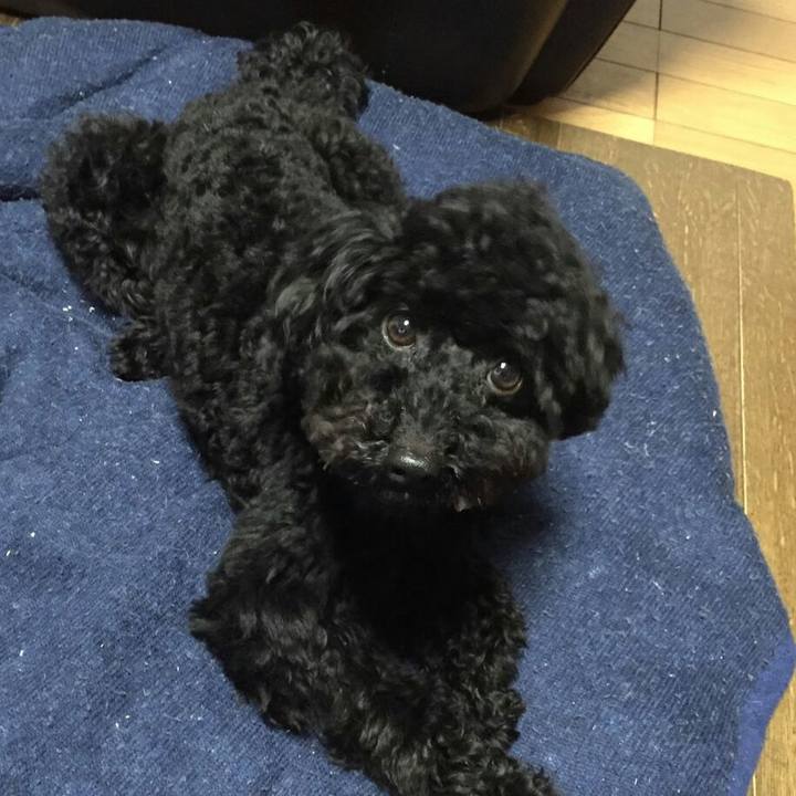 60c90e43 96f7 496f 99b3 c47a672df000