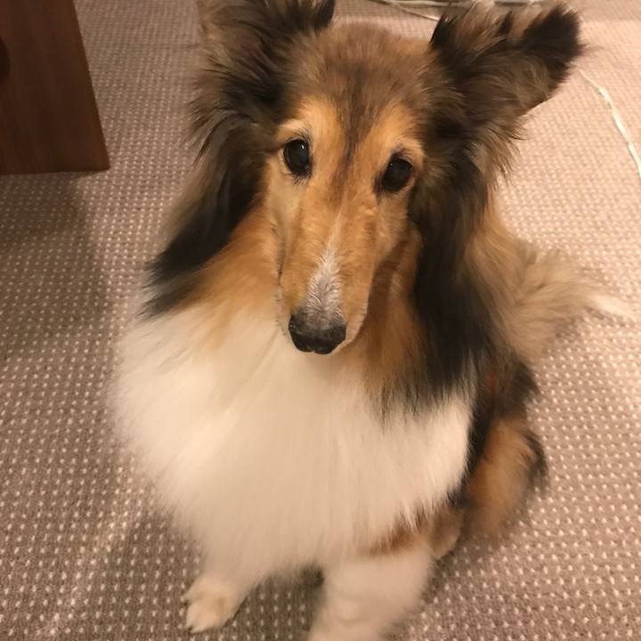 60c91116 6066 43db b944 294213d5db41