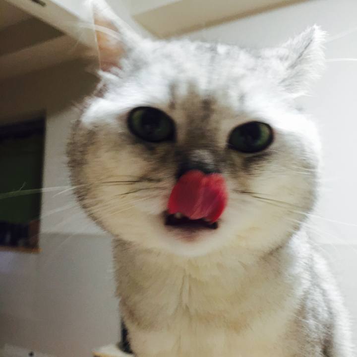 60ca39e9 ad74 425a b188 b332c162422f