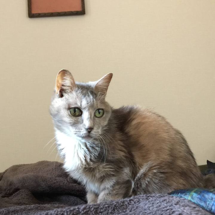 60ca4319 5db8 4733 8c84 3bd7dad4fdba