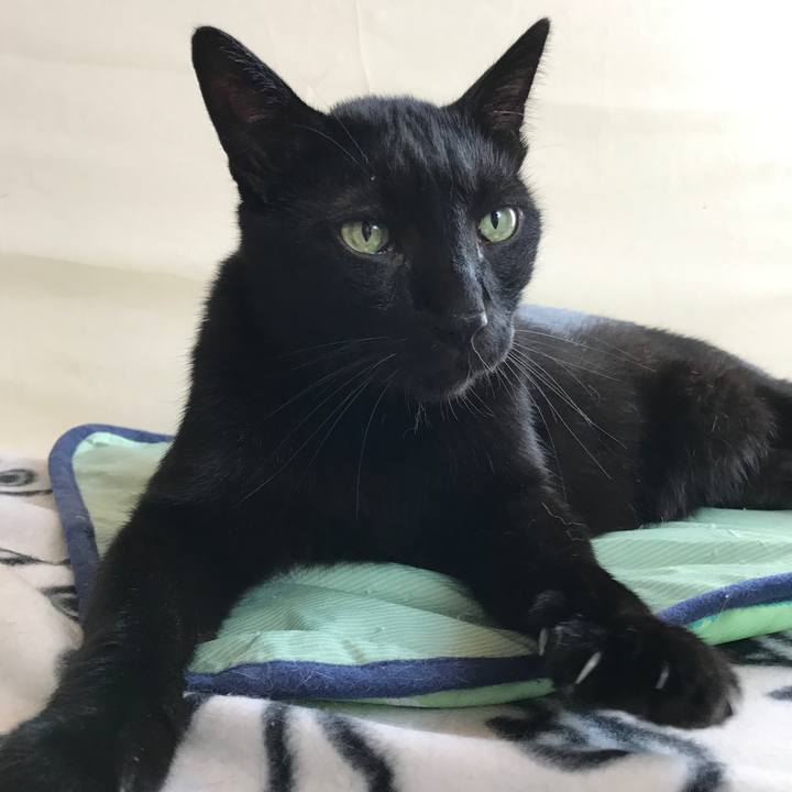 60cac355 d4af 4773 9671 c6852d653c2e