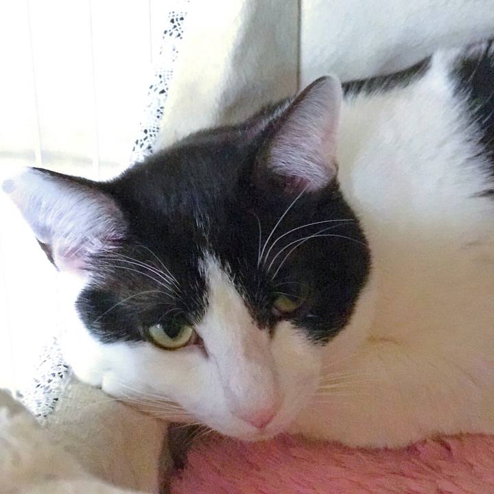 60cadddd 956d 4a3c 9220 77680805a771