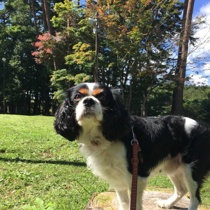 60cb9cb1 8226 4c4b 8d7e 1716808e3fd8