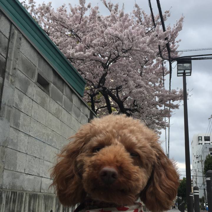 60cbf4ec 9944 4e1e 9037 80560f00db47