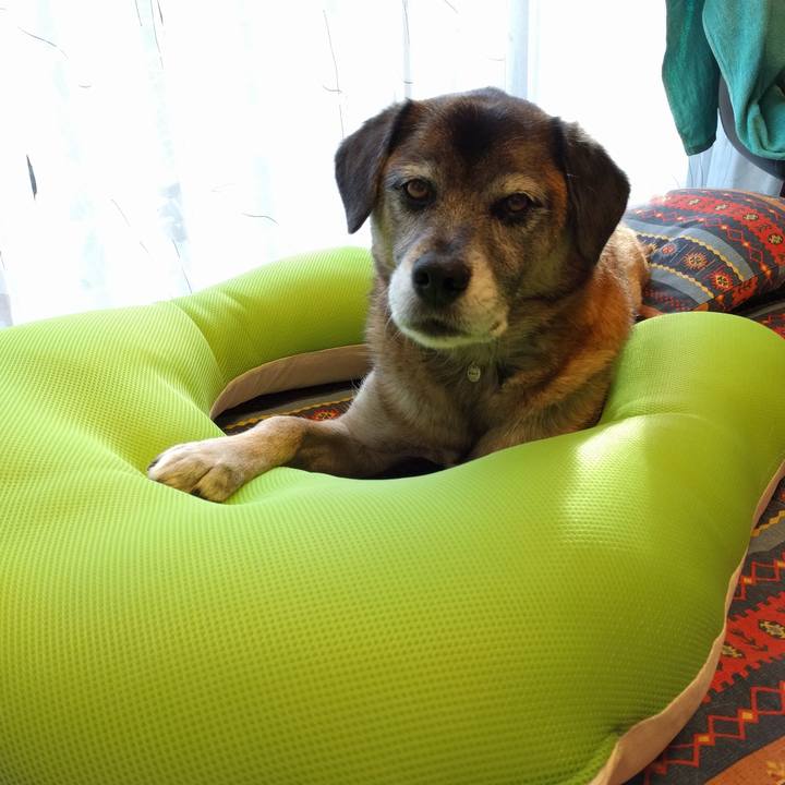 60cc29ee 48bf 4903 b95c 512783632ea4