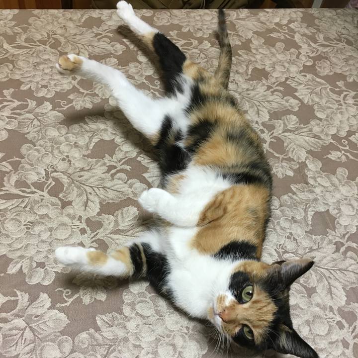 60cc68c0 6d82 44be a042 f712419aae87