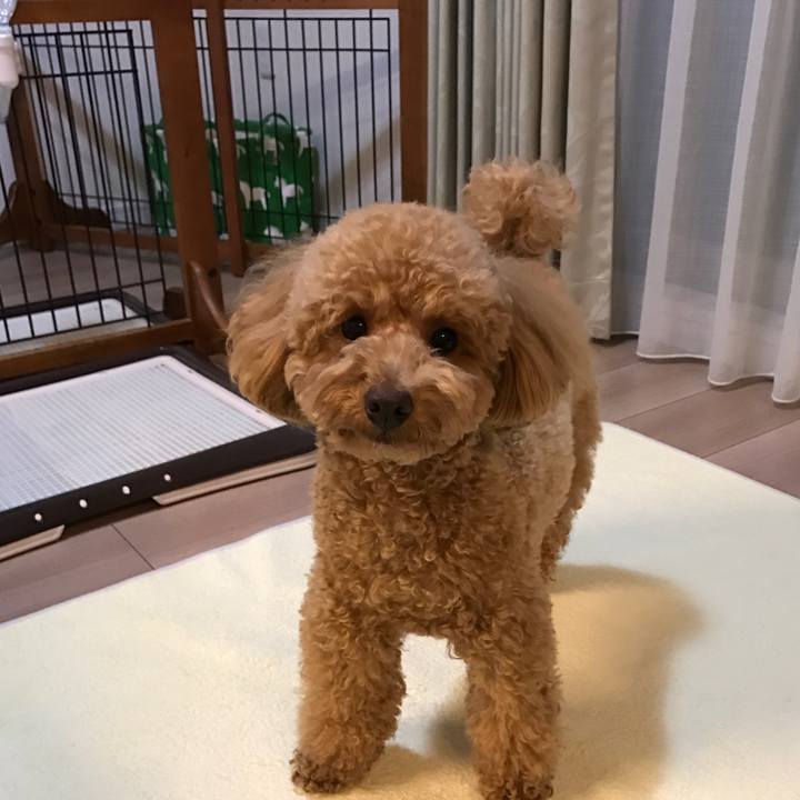 60cc7d44 ddc2 480a b0d2 095b5a2836d5