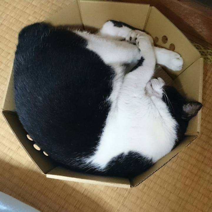 60cc8483 3a78 471d 8035 d3fbb14308ef