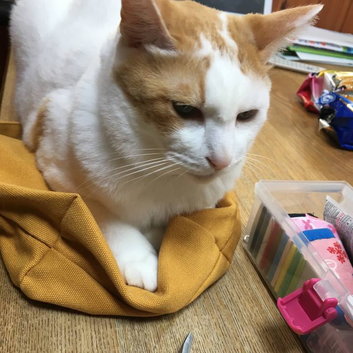 60ccbb11 5eb9 47e5 9859 27480820d311