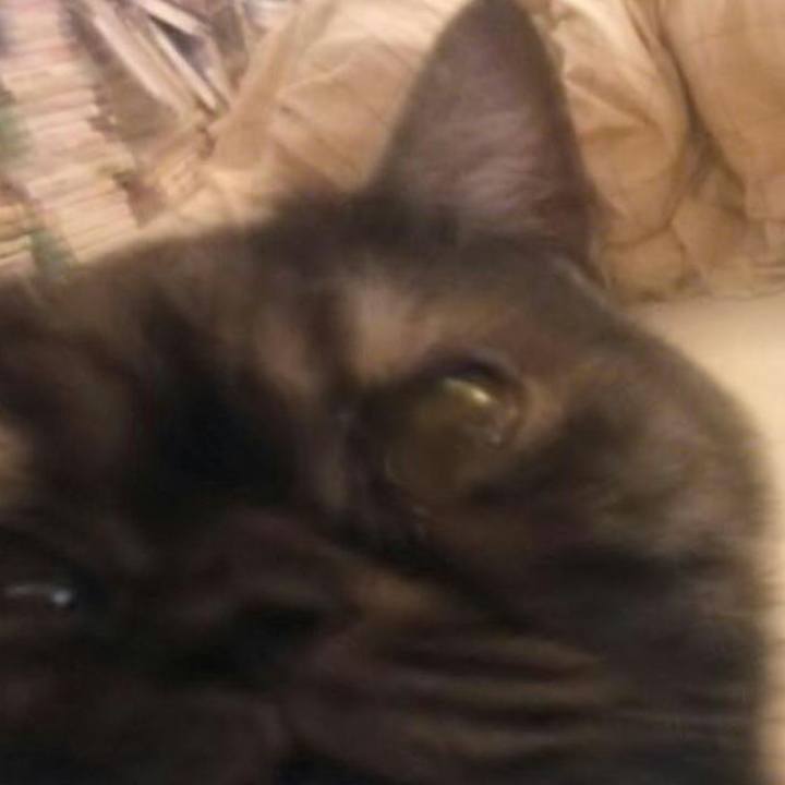 60cd0032 fabf 4bcd 93eb 5828ac6526b0