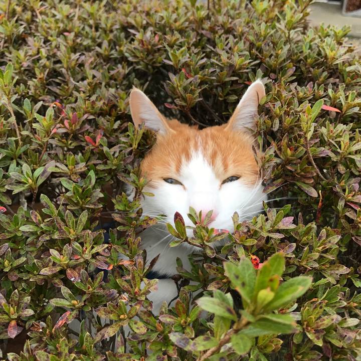 60ce017f 3eb7 44bc b897 50aef18c3814