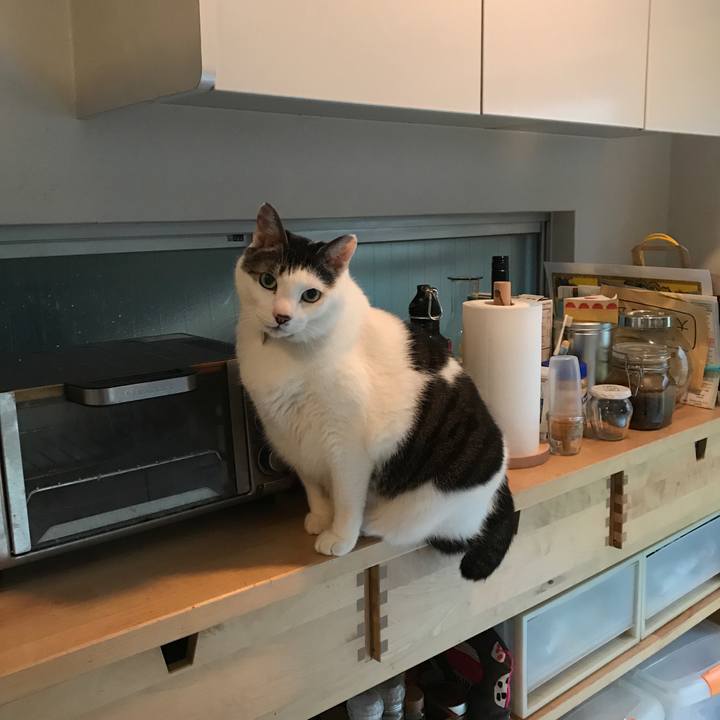 60ce0793 bef7 4cd2 a58f 91c0b674ac78