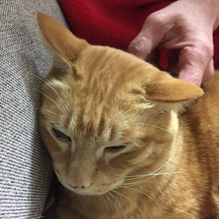 60cf8447 a548 4eae add1 2651e362f27a