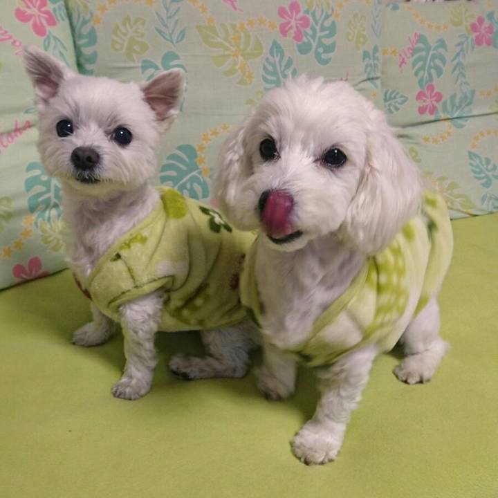 60cfcb52 5e9f 4296 8ce1 90476845360e