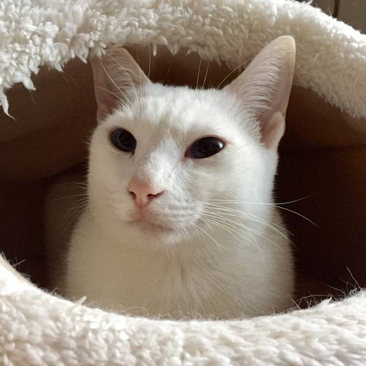 60d0384a 6838 4df3 9870 4264328cec8b