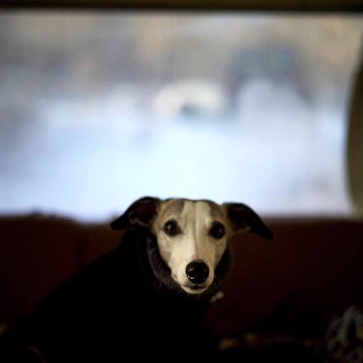 60d064b7 893e 45e6 a02d bd91ed96289f