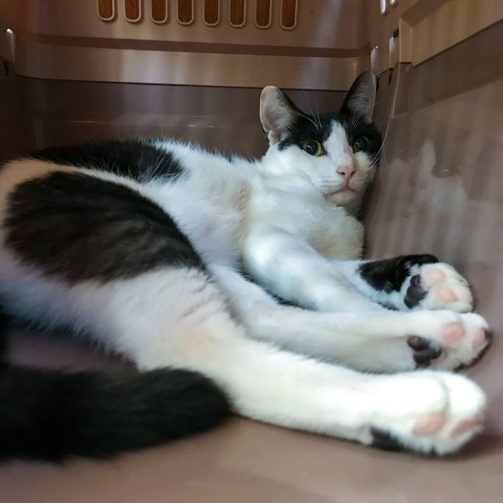 60d0655c 4b00 4262 a278 dc8b883cfafc