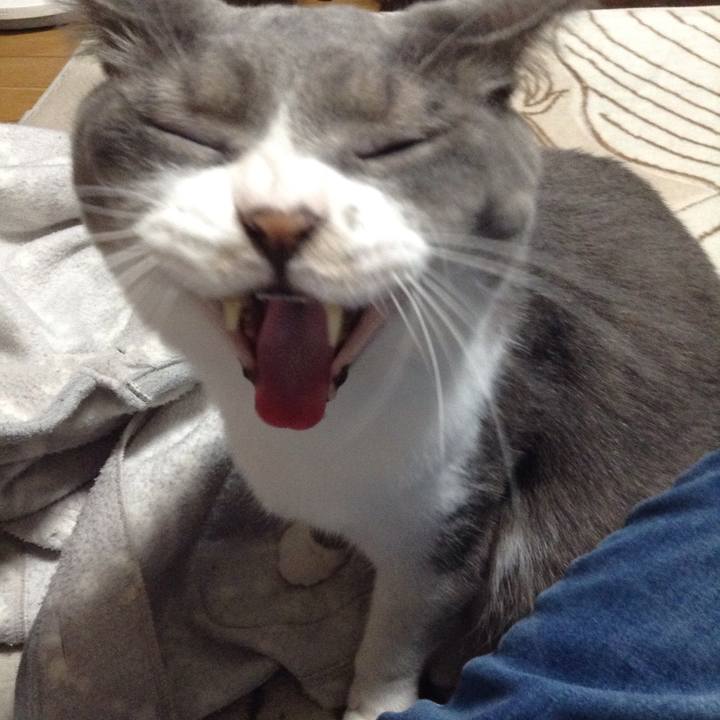 60d09f61 2cde 4507 bd9e 849f6c8a35bb