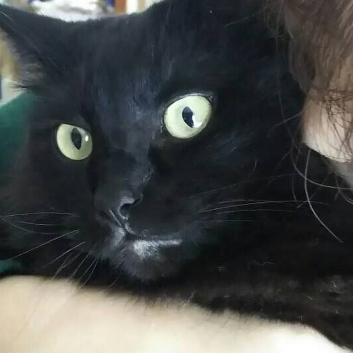 60d126df 56a1 43be 8733 57f38a05f55e