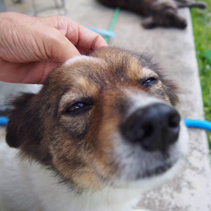 60d18027 3daa 4866 bfa9 2782673157eb