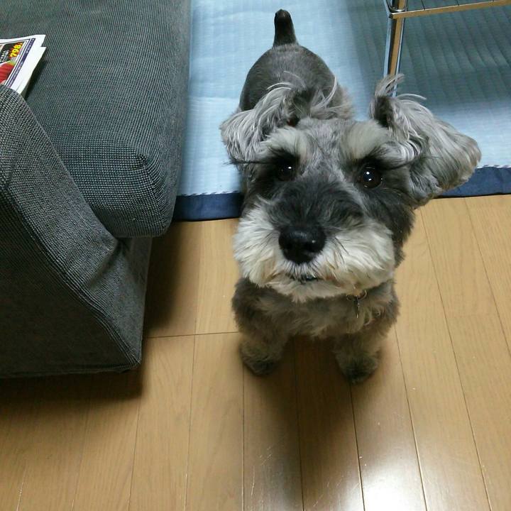 60d1a619 ed98 47b6 ac82 9a622754aa4f