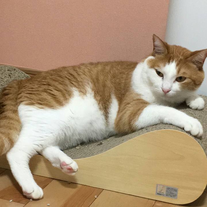 60d1d178 d9dc 4153 819d dc3e35ea0095