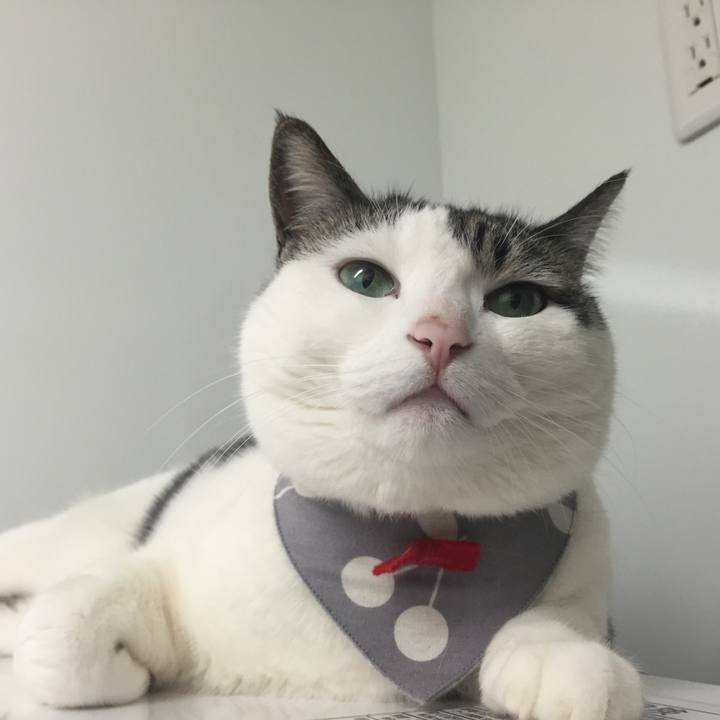 60d22279 9962 4977 970a 7a3ca6e6bbd2