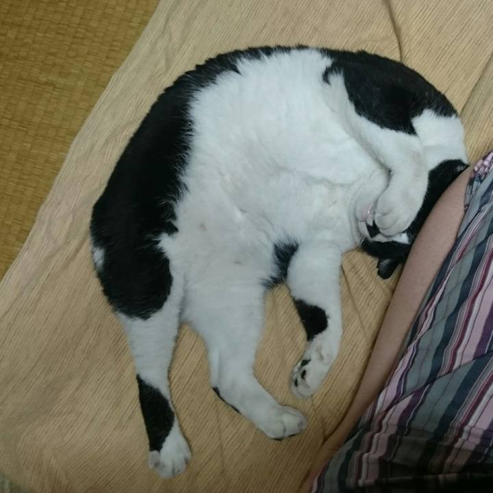 60d361b2 45e5 4801 aa12 bea5ca27de51