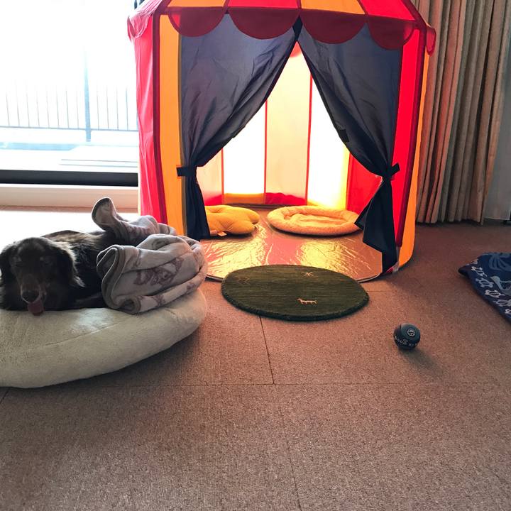 60d3a8fd 52cf 4aad bb4c bef3c015591d