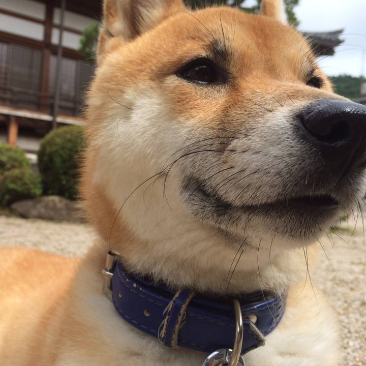 60d4b0ec 61fc 4ed4 8357 17f1d4cb6ddb