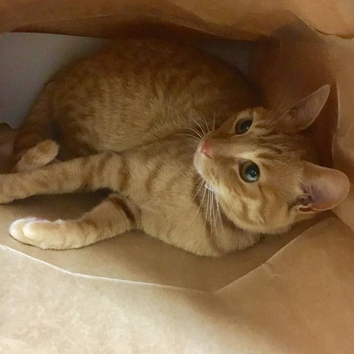 60d518cc 7704 4533 91b7 767e6ed3f7aa