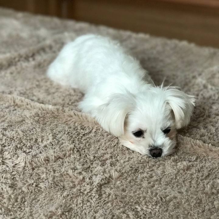 60d53308 abb3 427f 92ed 0e0ffc9cc327