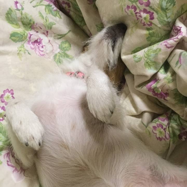 60d6a770 a26d 48cd 9aa3 31f9a772d49a