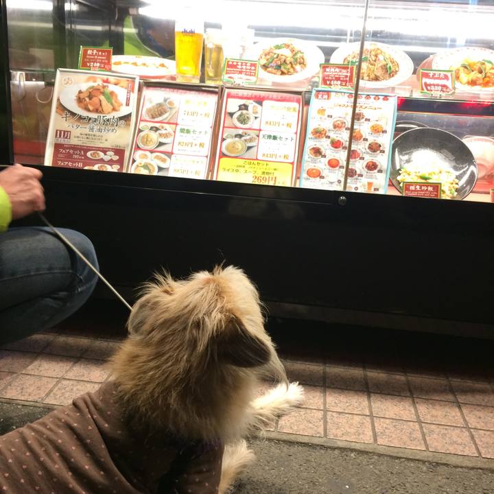 60d71329 e283 431e 8ff6 a325fe099b85