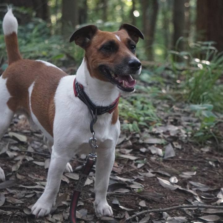 60d7214d cf2c 48e3 be9f 4549fe4af041