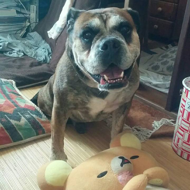 60d7215d 4e5b 4d53 ad82 87af11fb7406