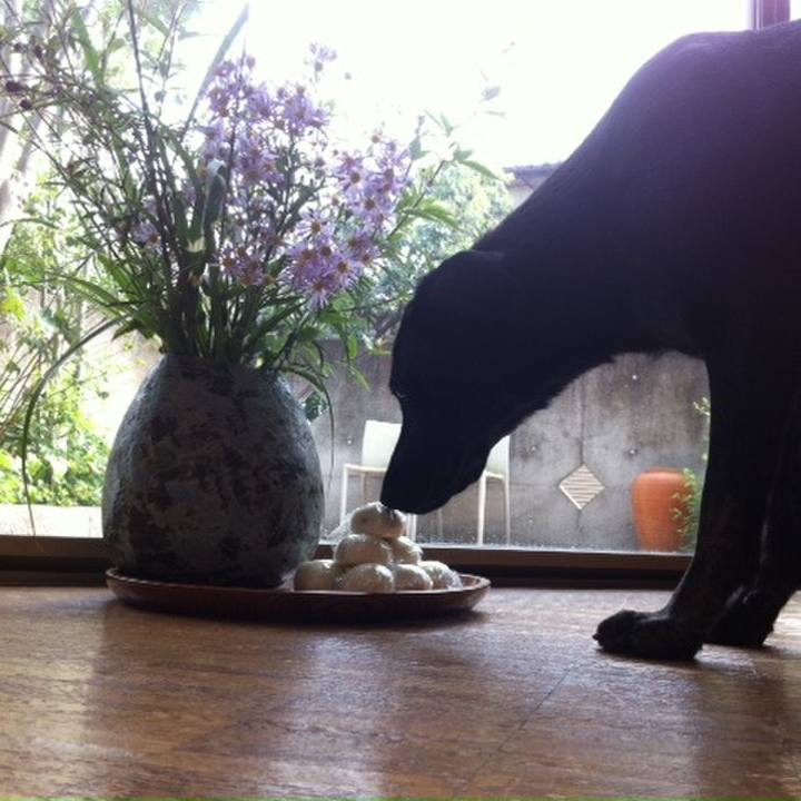 60d76064 daa1 45b5 91d3 792009c33d4b