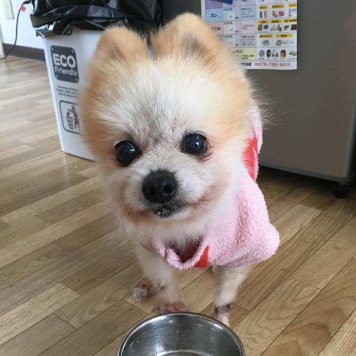 60d79708 cd2a 459a a06b ef429892bf87